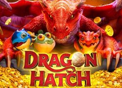 Dragon Hatch