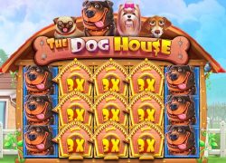 The Dog House